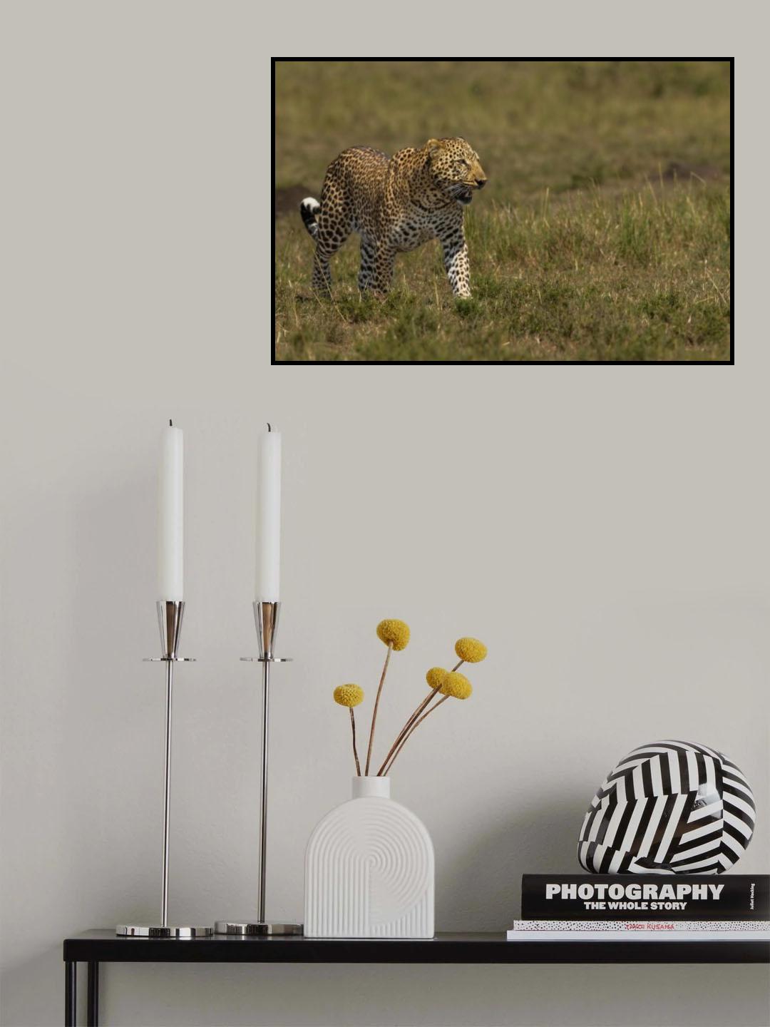 Leopard Poster och Canvastavla