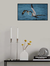 Fight for Fish - II Poster och Canvastavla