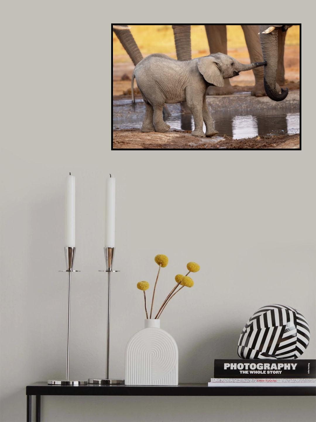 Play with me, please! Poster och Canvastavla