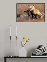 Love You Poster och Canvastavla
