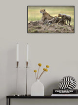 Family Poster och Canvastavla