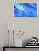 Give in to the call of the sirens... Poster och Canvastavla