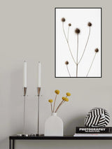 Thistle Grey 09 Poster och Canvastavla