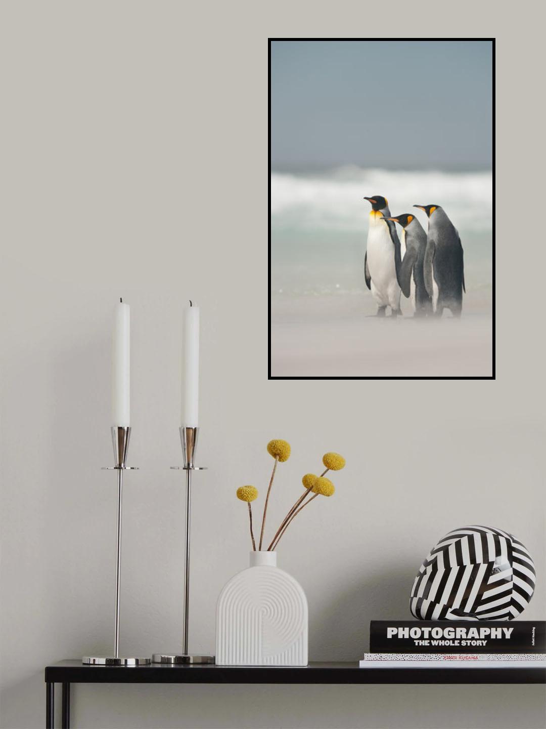 Falklands Poster och Canvastavla