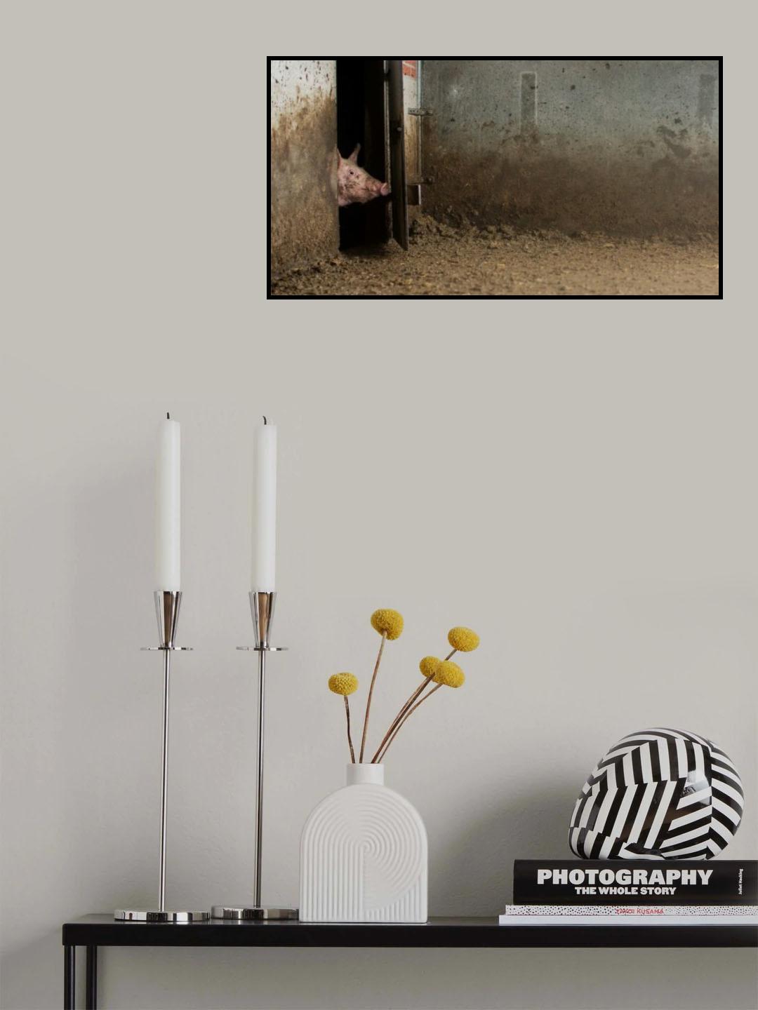 The dirty little piglet Poster och Canvastavla