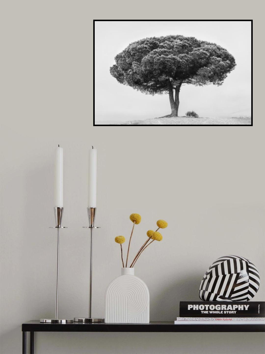 TREE Poster och Canvastavla