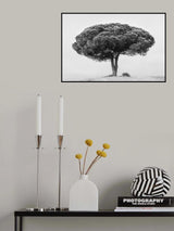 TREE Poster och Canvastavla