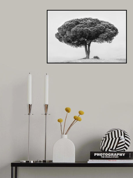 TREE Poster och Canvastavla