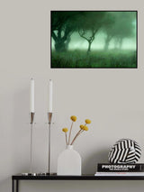Poster och Canvastavla