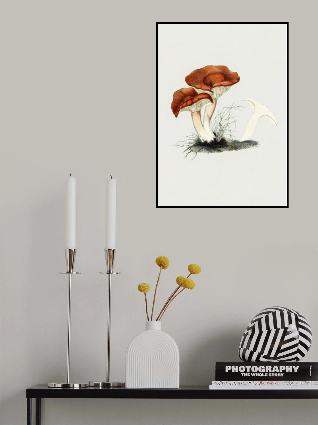 Hand Drawn Rufous Milkcap Mushroom Poster och Canvastavla