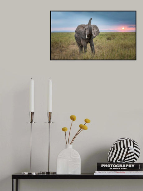 King of the domain Poster och Canvastavla