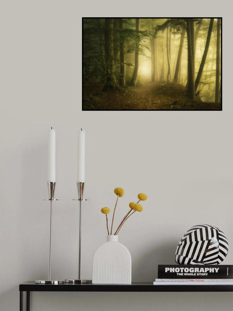 Mysterious spring morning Poster och Canvastavla
