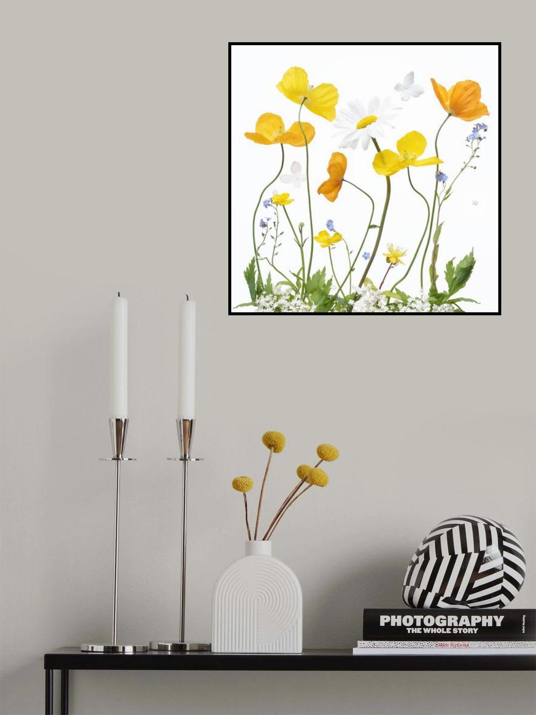 Spring Sunshine Poster och Canvastavla