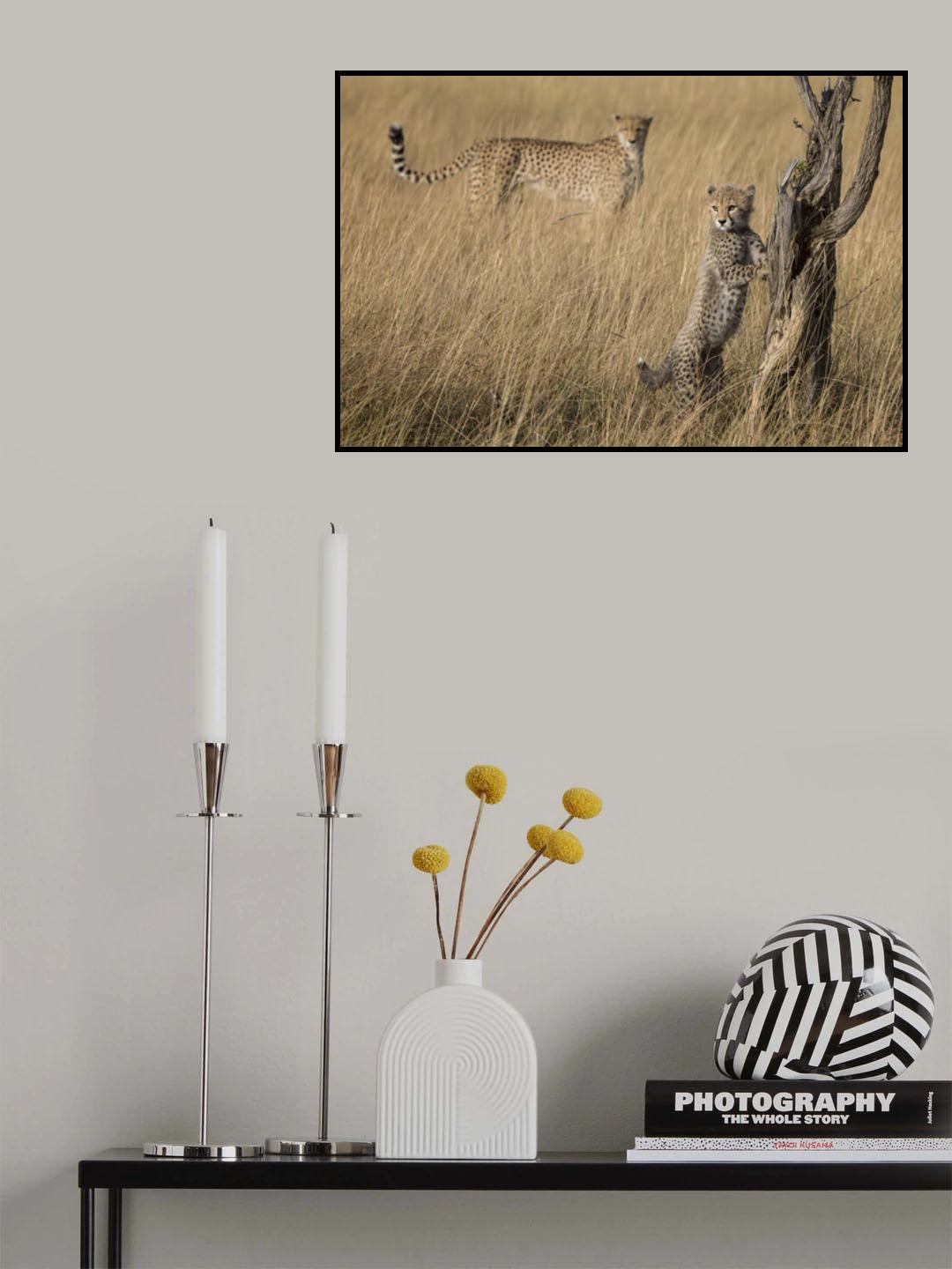 I've Got it Mum Poster och Canvastavla