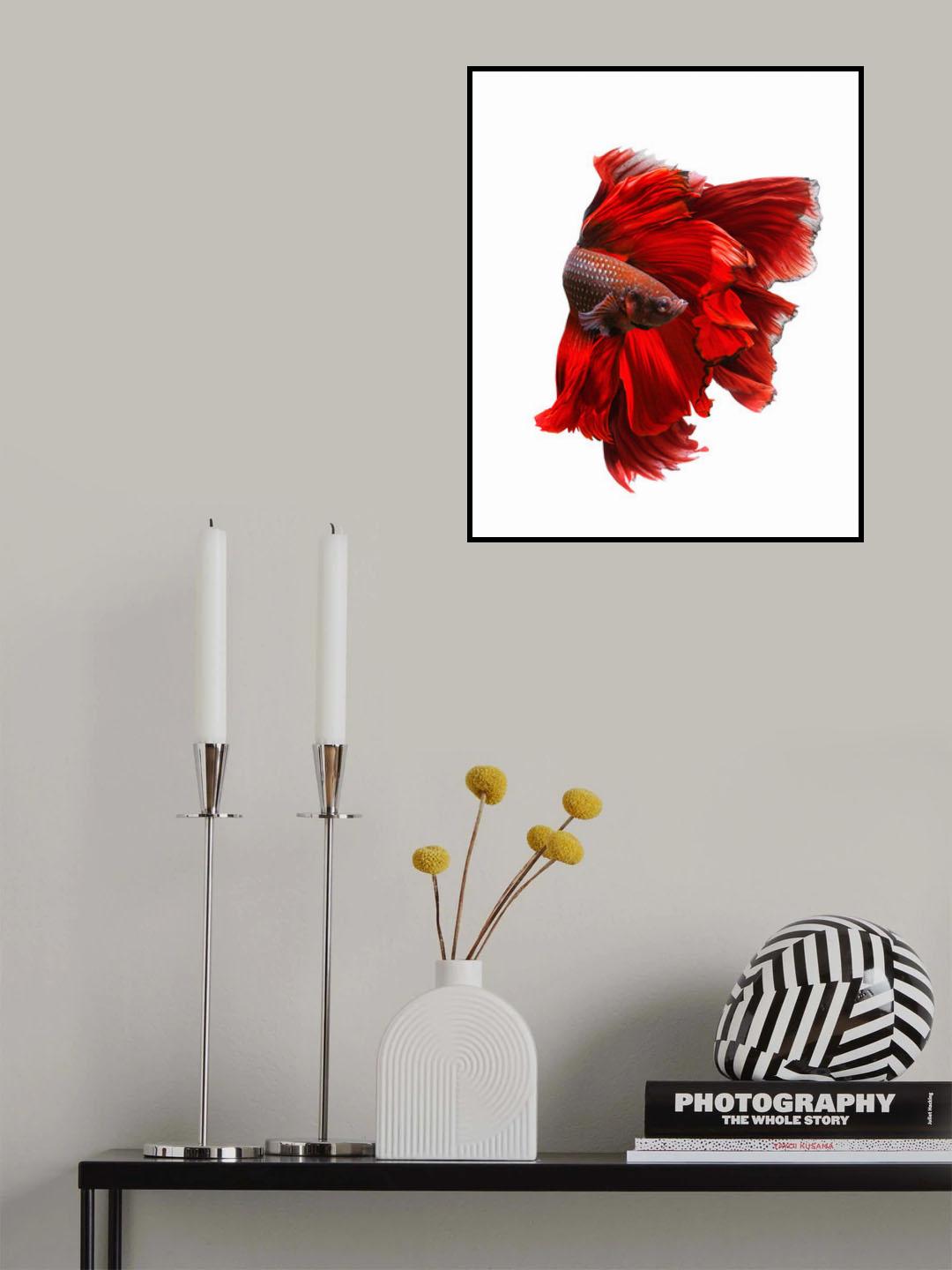 The Red Dress Poster och Canvastavla