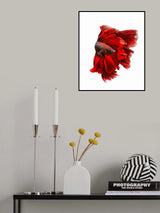 The Red Dress Poster och Canvastavla