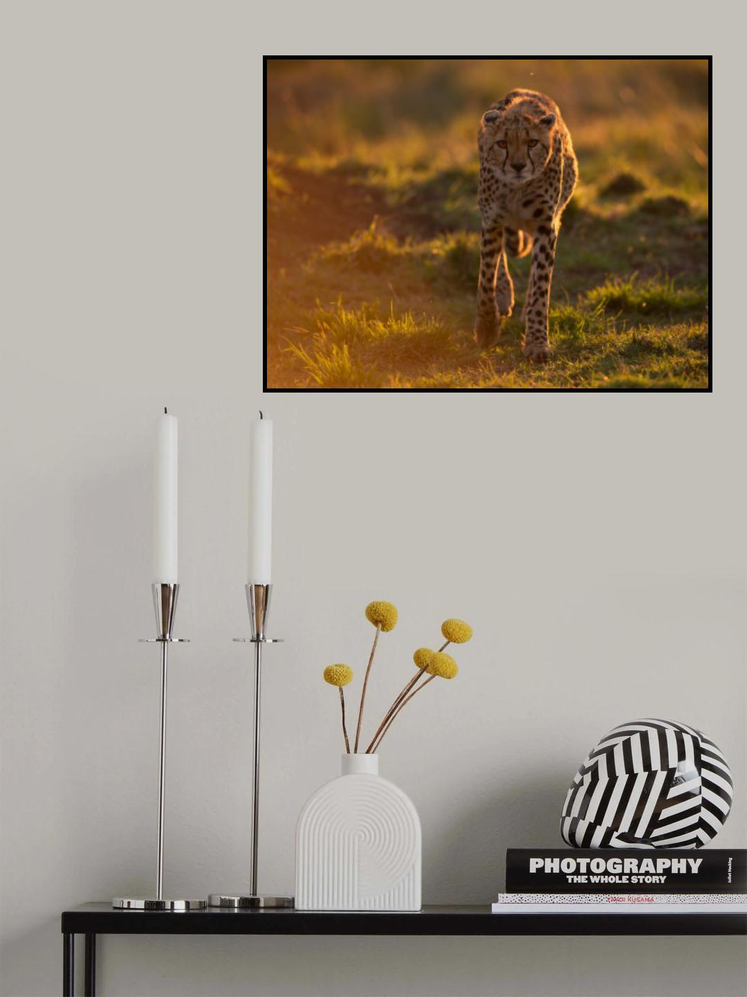 Into the light Poster och Canvastavla
