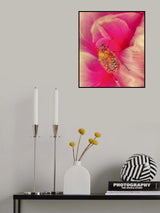 Pink palace... Poster och Canvastavla