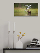 Grey Heron Poster och Canvastavla