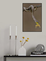 rhino rat snake Poster och Canvastavla