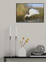 bird fishing Poster och Canvastavla