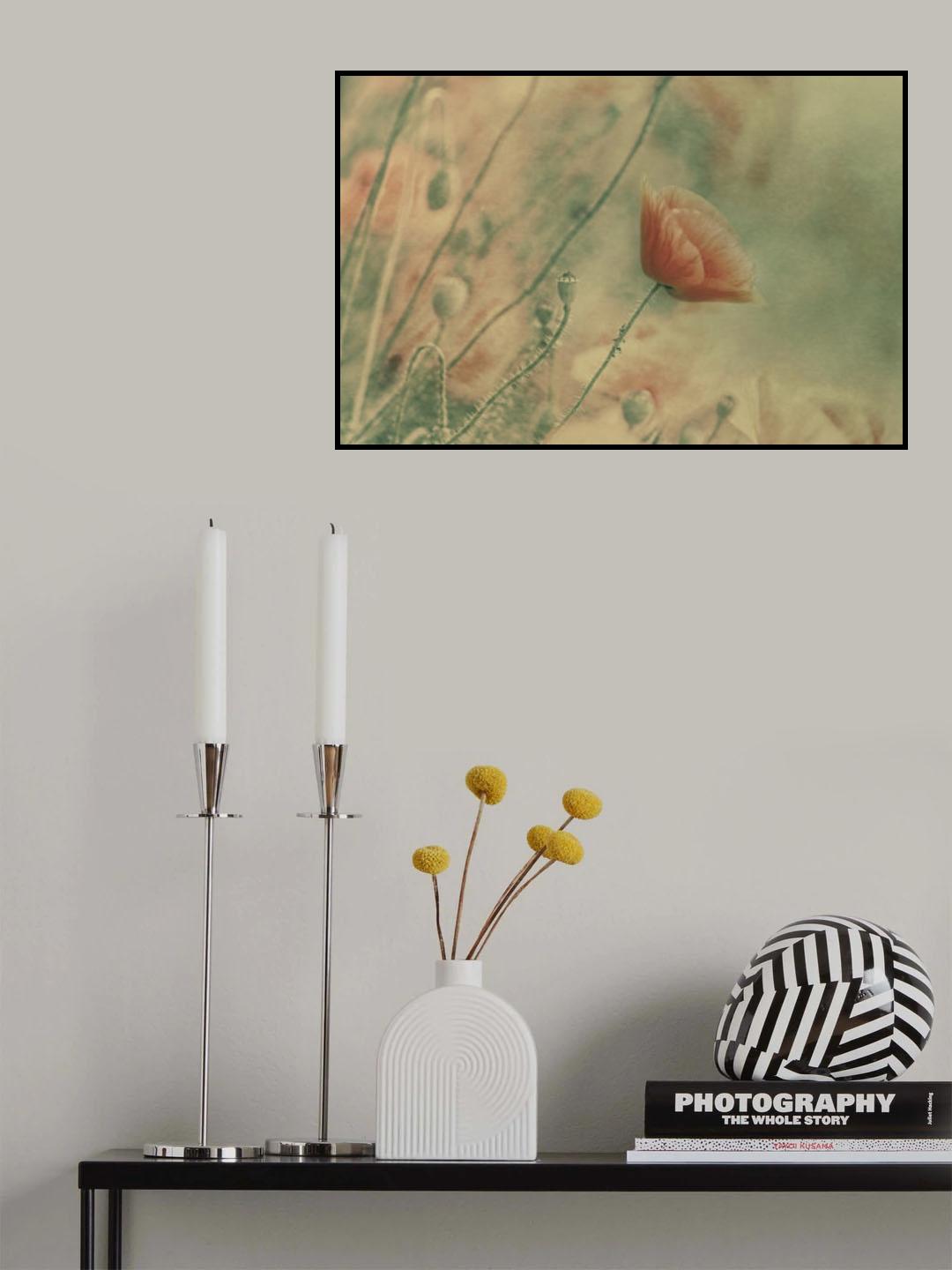 Poster och Canvastavla