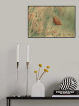 Poster och Canvastavla