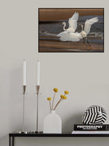 '...the Heron fight...' Poster och Canvastavla
