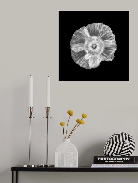 Poppy Poster och Canvastavla