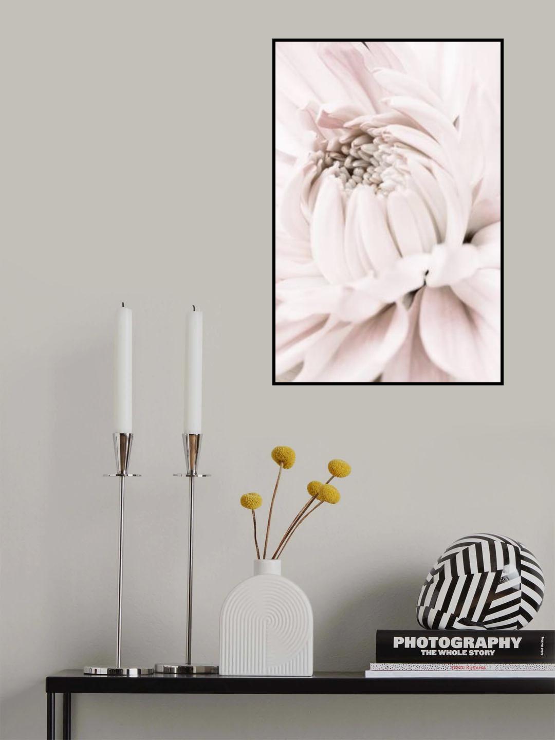 Chrysanthemum No 05 Poster och Canvastavla