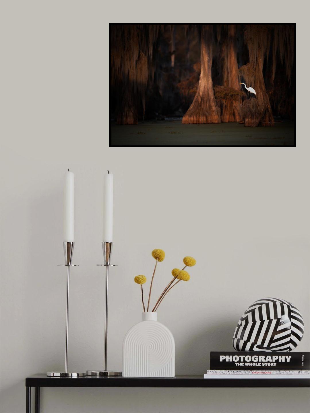 Last Light Poster och Canvastavla