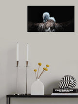 wings Poster och Canvastavla