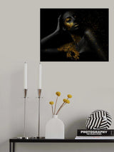 Black magic woman. Poster och Canvastavla