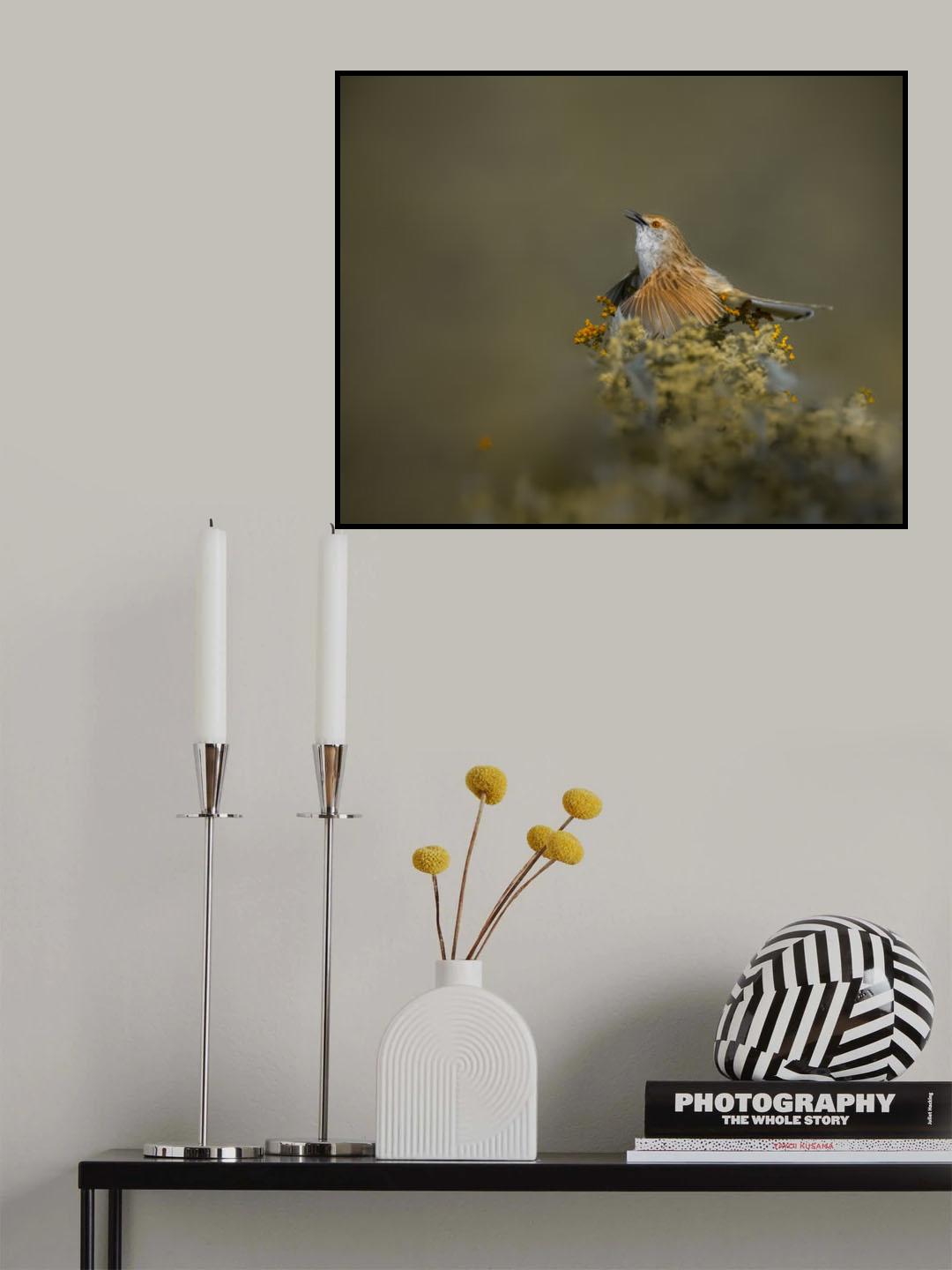 Ms. Prinia Poster och Canvastavla