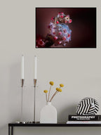 Bargibant's seahorse close up Poster och Canvastavla