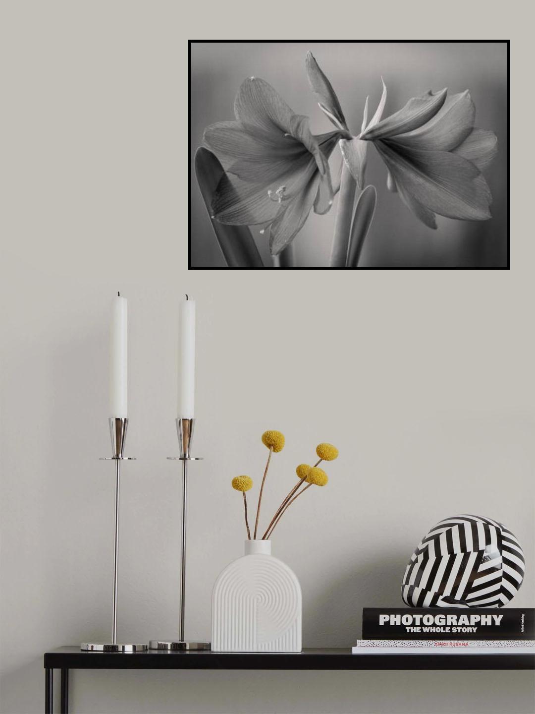 Elegance Poster och Canvastavla