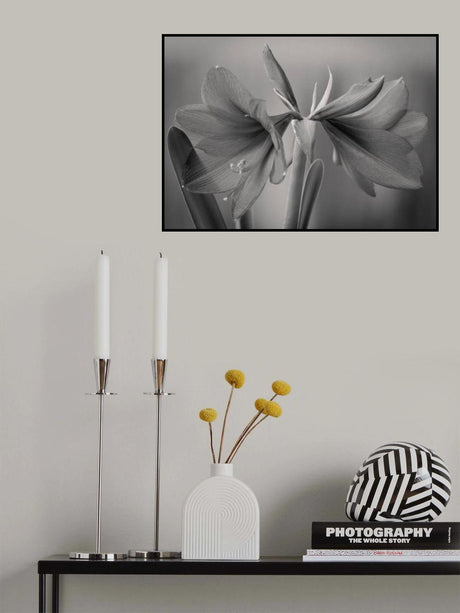 Elegance Poster och Canvastavla
