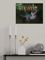 A wonderful moment Poster och Canvastavla