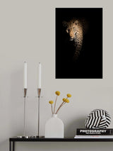 Out of the darkness Poster och Canvastavla