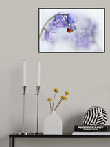 Ladybird...! Poster och Canvastavla