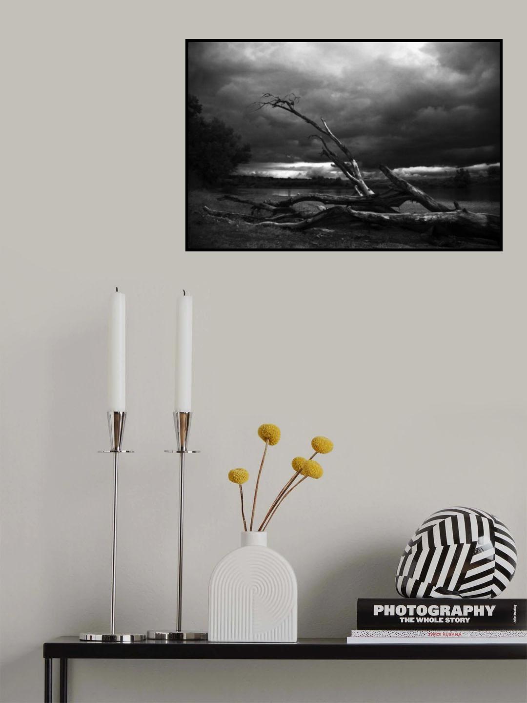 Poster och Canvastavla