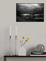 Poster och Canvastavla
