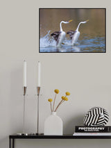 Dancing Poster och Canvastavla