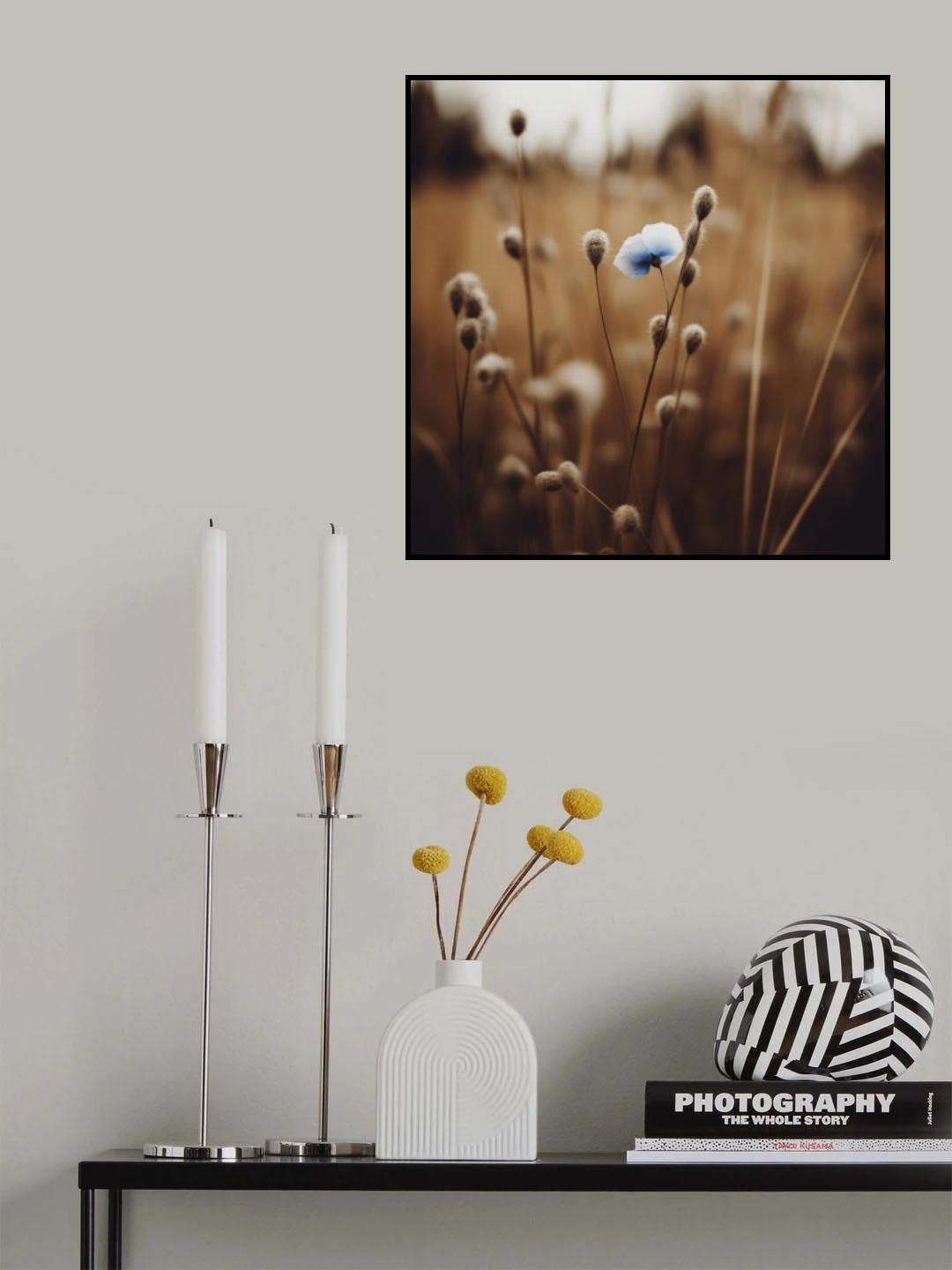 Blue Corn Flowers No 6 Poster och Canvastavla