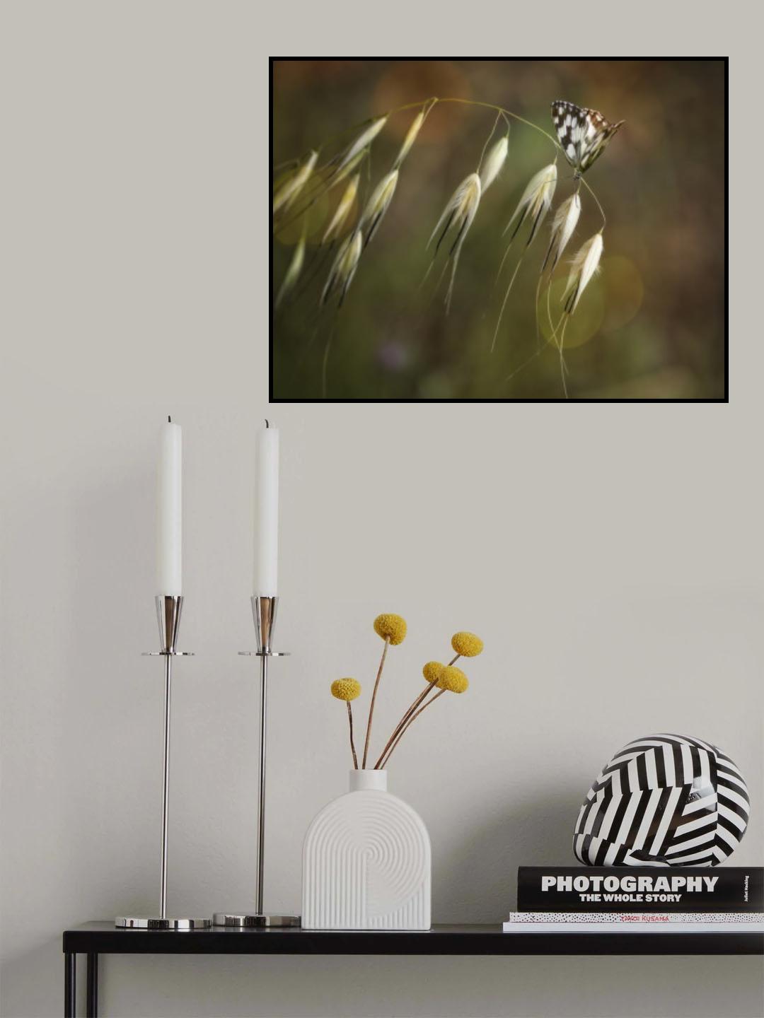 Poster och Canvastavla