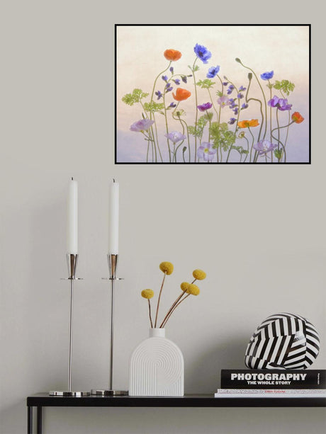 Poppy &amp; Anemone Poster och Canvastavla