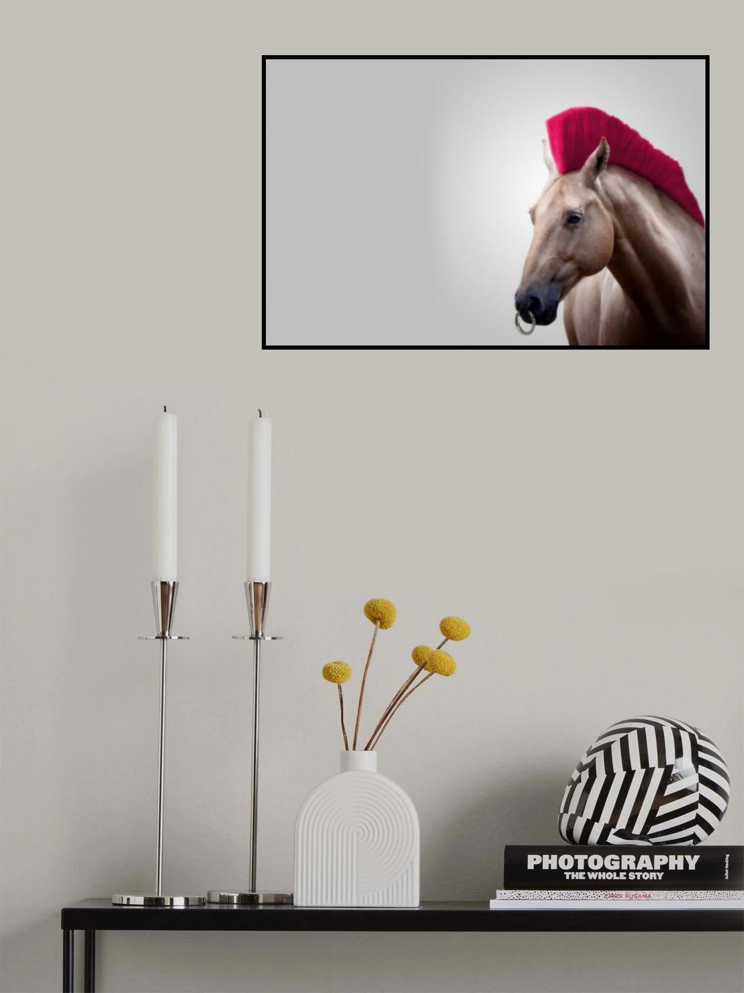 Wild Horse Poster och Canvastavla