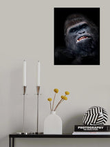 Gorilla face seen from above Poster och Canvastavla