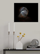 moony Poster och Canvastavla