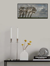Against the wind........... Poster och Canvastavla